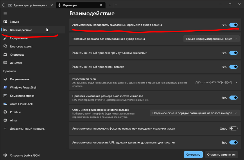 настройка терминала windows для копирования